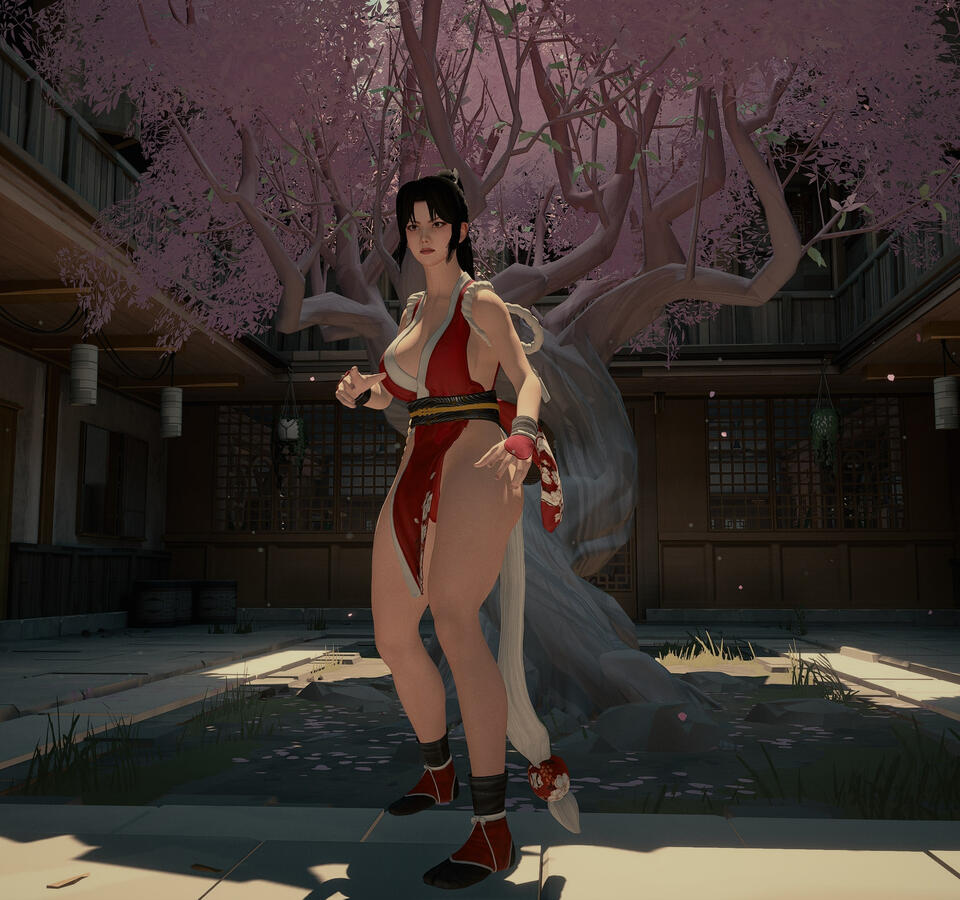 Sifu - Mai Shiranui